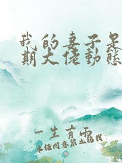 我的妻子是大乘期大佬动态漫