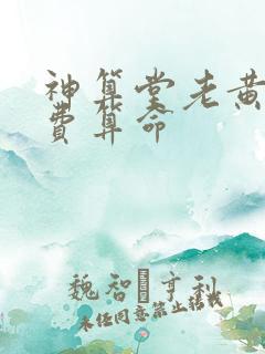 神算堂老黄历免费算命