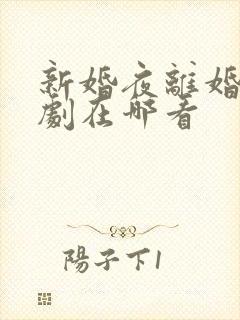 新婚夜离婚时短剧在哪看