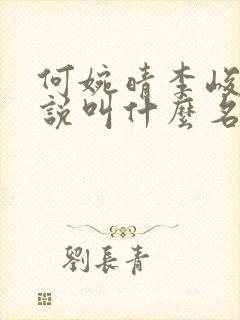 何婉晴李峻山小说叫什么名字