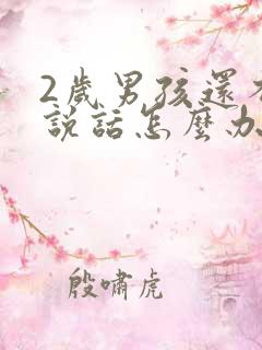 2岁男孩还不会说话怎么办