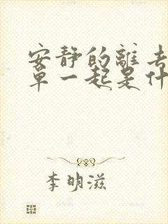 安静的离去和孤单一起是什么歌