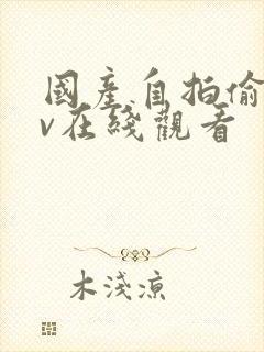 国产自拍偷拍av在线观看