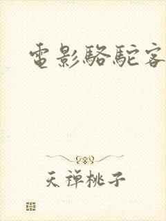 电影骆驼客1