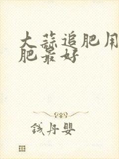 大蒜追肥用什么肥最好