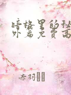 暗格里的秘密番外篇免费高清