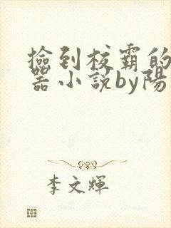 捡到校霸的遥控器小说by阳阳