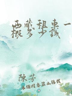 西藏租车一天大概多少钱 西藏租车一天大概多少钱