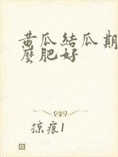 黄瓜结瓜期施什么肥好
