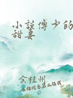 小说傅少的隐婚甜妻