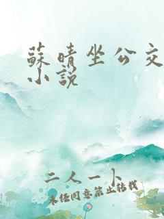 苏晴坐公交上班小说