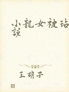 小龙女被玷污小说