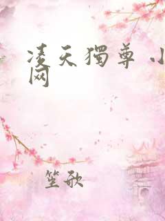 凌天独尊 小说网