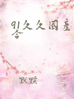 91久久国产综合