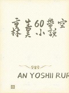重生60带空间林昊小说 重生60带空间林昊小说