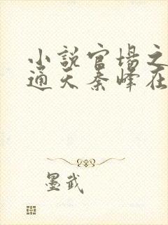 小说官场之手眼通天秦峰在线阅读