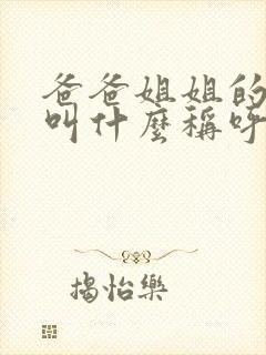 爸爸姐姐的老公叫什么称呼呢