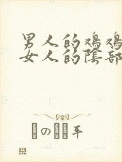 男人的鸡鸡插入女人的阴部