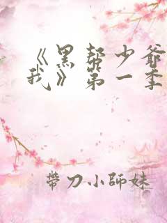 《黑帮少爷爱上我》第一季