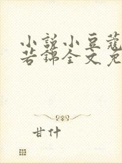 小说小豆蔻韶华若锦全文免费阅读免费