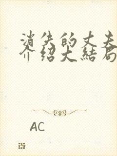 消失的丈夫剧情介绍大结局
