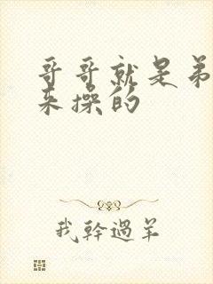 哥哥就是弟弟用来操的