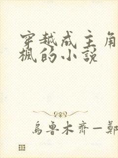 穿越成主角叫叶枫的小说