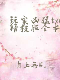 玩家凶猛txt精校版全本下载