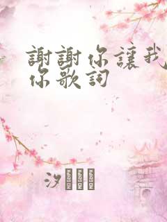 谢谢你让我遇见你歌词