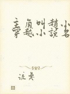 主角叫赵小驴的穿越小说名字