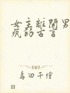 女主离开男主发疯的古言