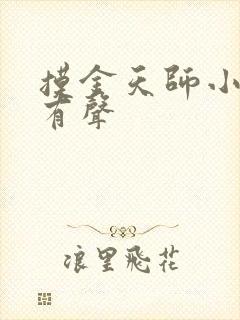 摸金天师小说 有声