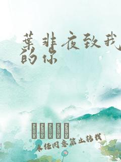 叶非夜致我最爱的你