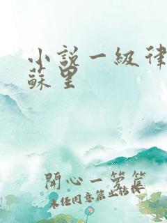 小说一级律师木苏里 小说一级律师木苏里