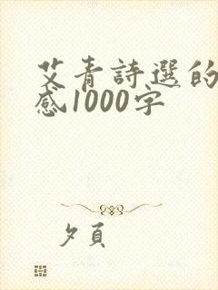 艾青诗选的读后感1000字