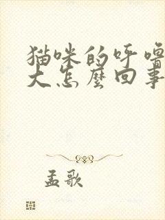 猫咪的呼噜声很大怎么回事