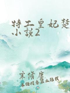 特工皇妃楚乔传小说2 特工皇妃楚乔传小说2