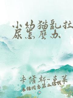 小幼猫乱拉屎拉尿怎么办