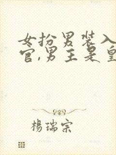 女扮男装入朝为官,男主是皇上古言