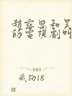 赵露思和吴磊演的电视剧叫什么