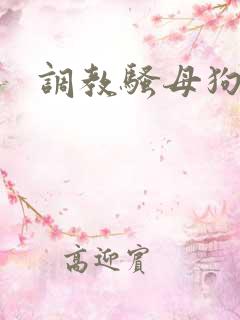 调教骚母狗逼