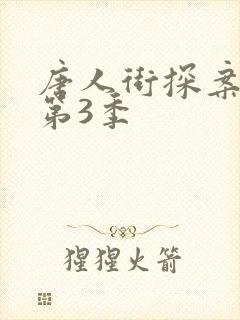 唐人街探案网剧第3季