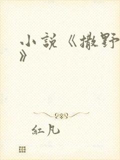 小说《撒野巫哲》 小说《撒野巫哲》