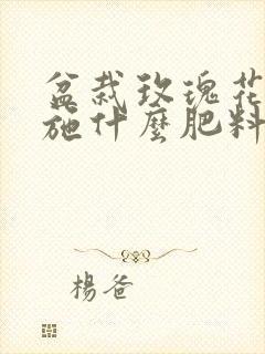 盆栽玫瑰花施肥施什么肥料