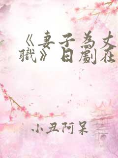 《妻子为丈夫升职》日剧在线播放