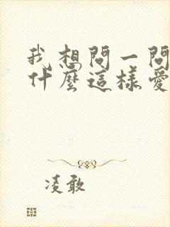 我想问一问你为什么这样爱我歌词