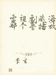 电视剧藏海传在哪个台播放