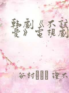 韩剧《不该有的爱》电视剧