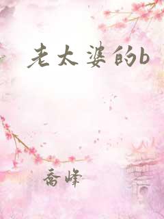 老太婆的b