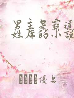男主是霸道总裁姓席的小说